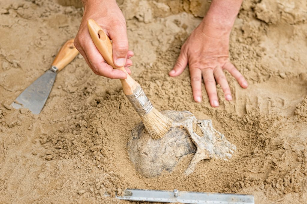 Close-Up Of Hands Working On Sand