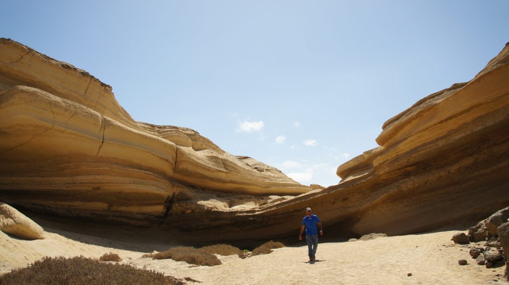 I took this photo is a March 2019 vacation trip to Caldera, Atacama, Chile