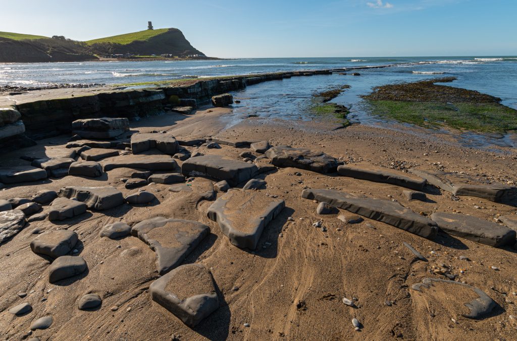 Kimmeridge bay scene with Kimmeridge Clay Formation stone and bronze sand with seaweed going out to sea, Clavell tower in the distance on the Jurassic coast of Dorset with sunny clear blue sky.